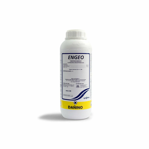 Imagen de FASTAC DUO